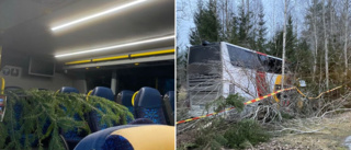 Träd trängde in i buss vid olycka utanför Finspång