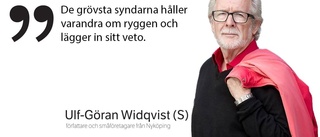 Debattkrönika: ”EU står maktlöst inför de mest korrumperade”