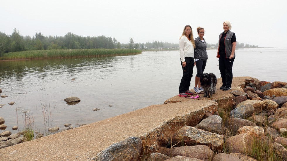 Lena Lindström Brunnström, Anneli Fursjö och Johanna Olsen är glada över att den slitna gamla piren nu ska rustas upp.