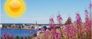 Meteorologen är säker: Då blir det finväder i Luleå ☀️