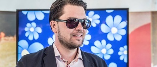 Vad vill Åkesson?