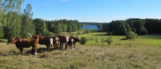 Flen får nytt naturreservat