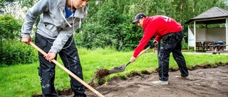 Så många får dela på sommarens feriejobb