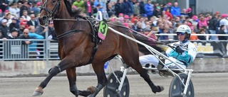 Elitloppsstjärnan aktuell för Norrbottens Stora Pris