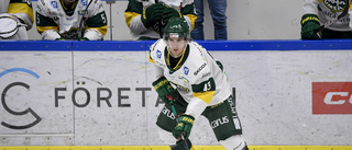 Back med allsvenska meriter klar för Piteå Hockey