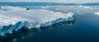 Upp till Liberalerna att försvara klimatmålen