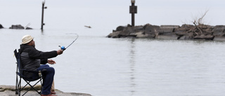 Fängelse för fiskefusk – stoppade bly i fångst