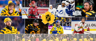 Så är läget i Skellefteå AIK  • Stor genomgång av spelartruppen