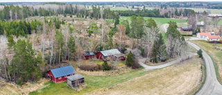 Liten hästgård lockade besökare från hela länet