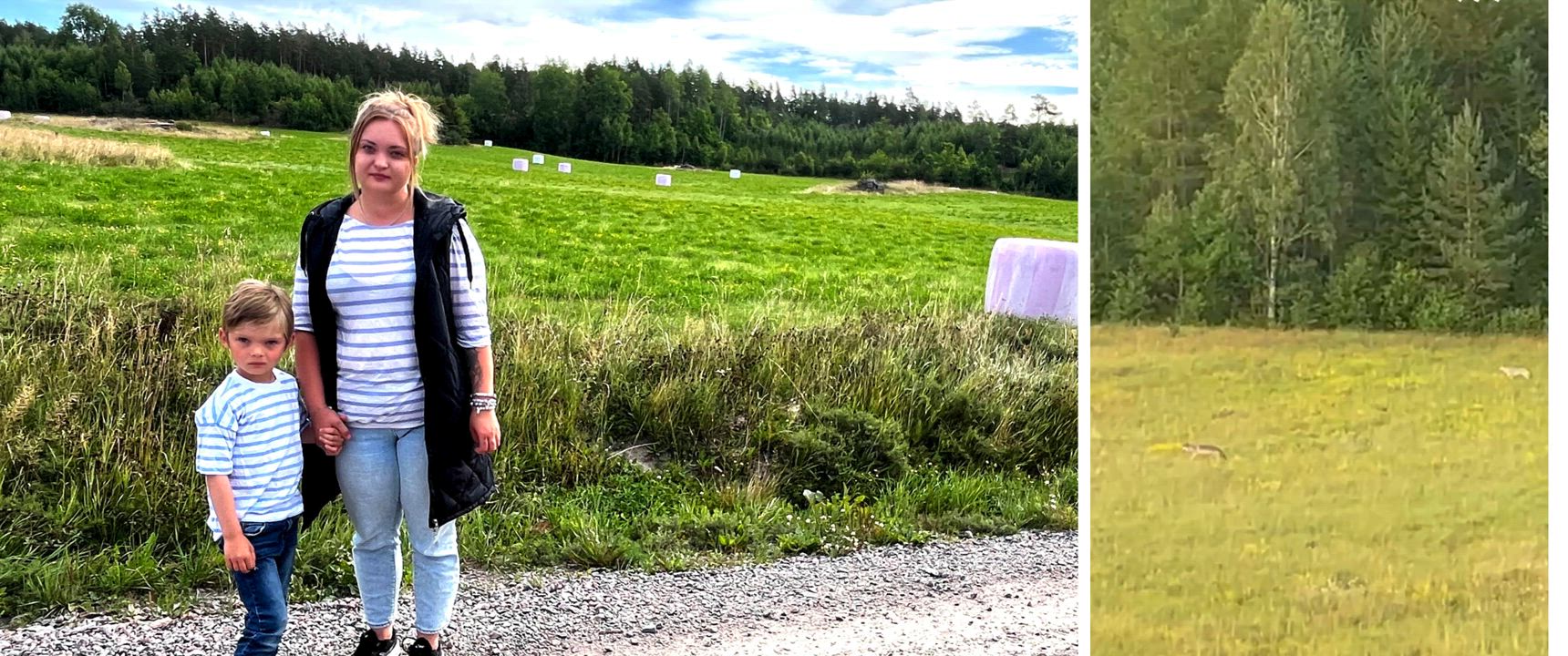 Vargar sprang nära barnfamiljens bostad