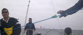 Wikingarna i topp på Offshore Race