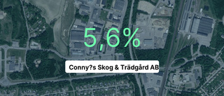 Fin marginal för Conny´s Skog & Trädgård AB - slår branschsnittet