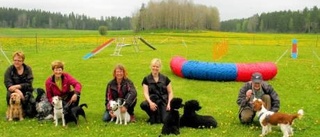 Catharina satsar på agility