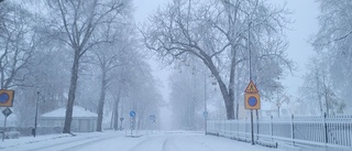 Andra advent kan bli vit i Västervik: "Snöområden över framför allt ostkusten"