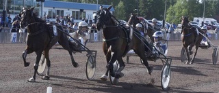 Inför Breeders' Crown: Hemmahoppet drömmer om den riktigt stora fullträffen – jagar segerchecken på 800 000 kronor