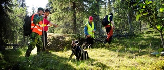 "Vi letar tills jakten sätter stopp"