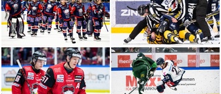 KLART: HV71:s drömvärvning - värvar NHL-backen