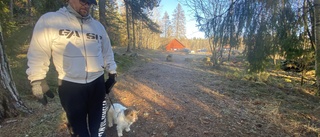 Hundtumult i friluftsområde – husse vill se koppelkrav: "Milo kunde ha dött" ✓Hundklubben: Ägaren strikt ansvarig