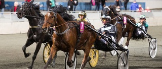 En Berghsäker dubbel på Bodentravet