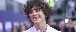 Chalamet sjunger själv i Bob Dylan-biografi