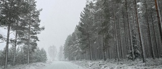 Meteorologen om snöchanserna i Vimmerbytrakten • "Svårt att säga hur omfattande"