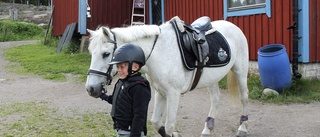 Jubileum för ryttarklubben – Barbro Källung har drivit stallet i 30 år: "Jag får leva med det jag älskar"