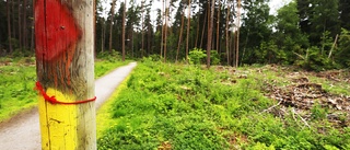 Kommunala naturreservat dåligt skötta