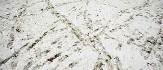 Barn örfilades efter snöbollskastning