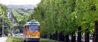 De föreslås få sina namn på de nya spårvagnarna: "Har gjort bra saker för Norrköping" • Hur många känner du igen? 