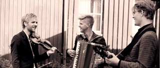 En fantastisk folkmusiktrio