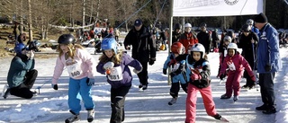 Lilla vikingarännet ställs in