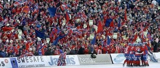 Uppsala förlorar bandyfinalen