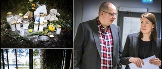 Åklagaren: "Han hade haft tid att besinna sig"