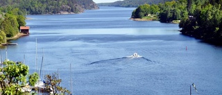 Alger kan ha blåst in från havet