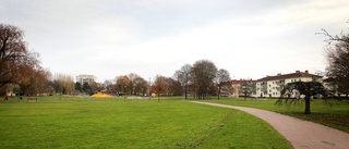 Vilt slagsmål i Vasaparken