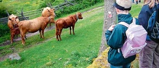 Åter till Stubbhult