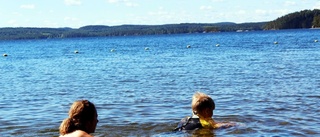 Algblomning i östgötska sommarparadiset – avråder från bad