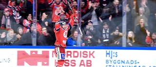 Hockeyallsvenskan satsar mot miljonen