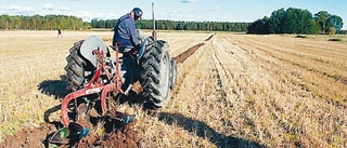 Blicken bakåt för att plöja framåt