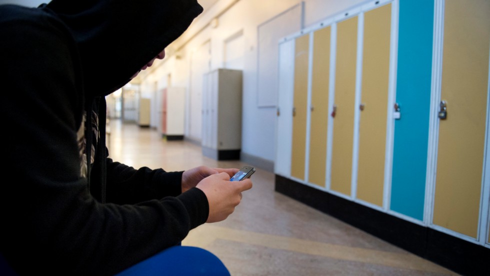 Hur kännetecknas en "lyckad skolgång" frågar sig skribenten som anser att pusslet i många fall är helt omöjligt att lägga.