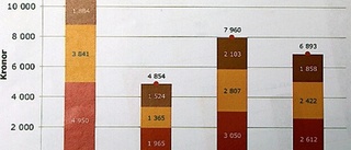 19 miljoner dyrare än jämförbara kommuner