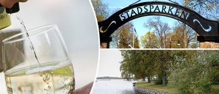 KARTA: Här får du inte dricka alkohol