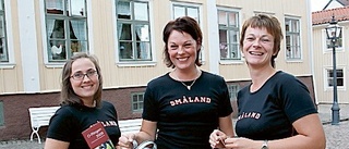 Eksjö förbereder sig för O-Ringen 2009