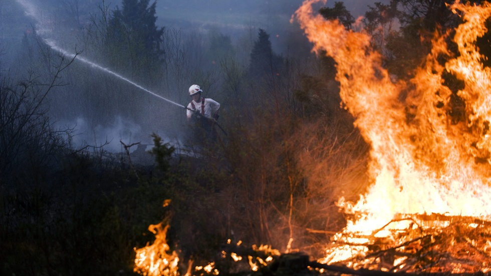 Gotland tillhör de delar av Sverige som får förhöjd brandrisk till följd av klimatförändringarna.
