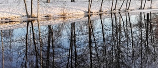 Dagens läsarbild: Vattenspegling i februari