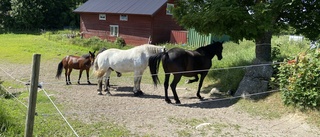 Kommunen får tugga i sig kritiken