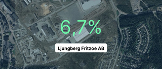 Brant intäktsfall för Ljungberg Fritzoe AB