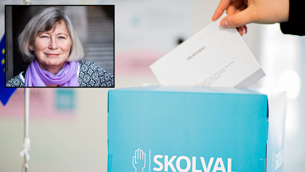Alla unga har rätt att få lära sig om det politiska systemet, politiska partier och hur de kan påverka och påverkas, skriver Myndigheten för ungdoms- och civilsamhällesfrågors generaldrektör Lena Nyberg.