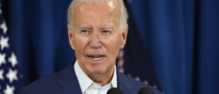 Biden om skjutningen på valmötet: Det är sjukt