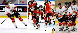 Chatta med Luleå Hockey